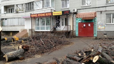 Спил деревьев на улице Лизюкова Воронеж