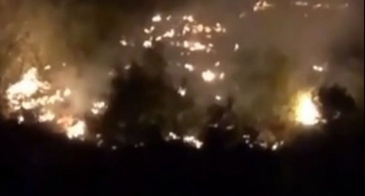 Пожар в яблоневом саду