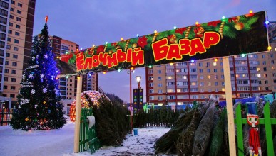В Воронеже объявили график работы ёлочных базаров