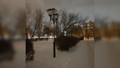 Темень в сквере на Московском проспекте 