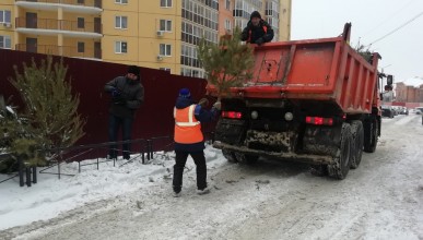 В Северном районе приступили к вывозу елок с контейнерных площадок