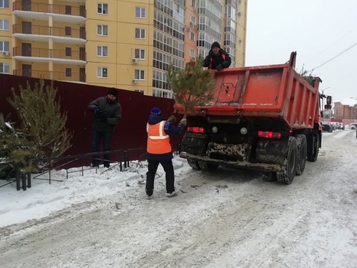 В Северном районе приступили к вывозу елок с контейнерных площадок
