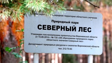 8,2 млн рублей потратят на благоустройство Северного леса Воронежские власти  