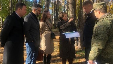 В Северном районе в следующем году запланировано благоустройство сквера «Хвойный» на улице 45 Стрелковой дивизии, 253/3