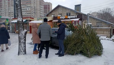 рейд по ликвидации мест несанкционированной торговли хвойной продукцией