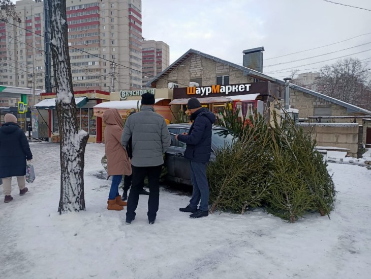 рейд по ликвидации мест несанкционированной торговли хвойной продукцией