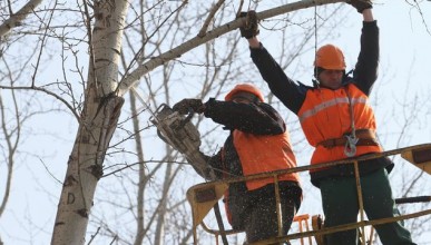 Подведены итоги программы 