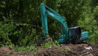 Воронежские экологи прокомментировали сообщение о вырубке деревьев у Ботанического сада