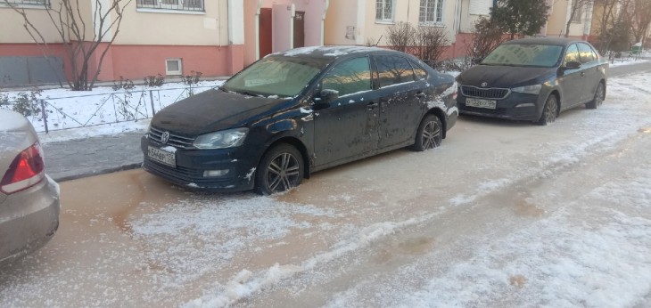Машины массово примерзли к фекалиям в воронежском дворе 