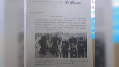 Продавцов на воронежском рынке предупредили о возможном нашествии сторонников ЧВК «Рёдан»