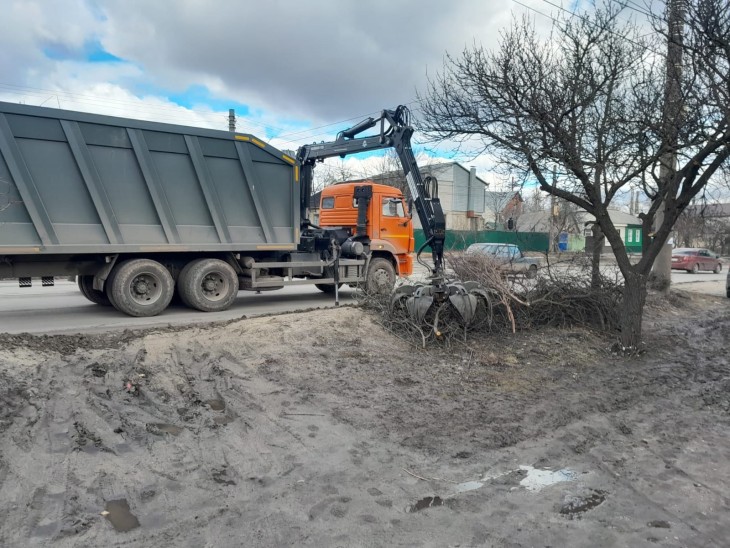 Обрезка деревьев в Северном районе