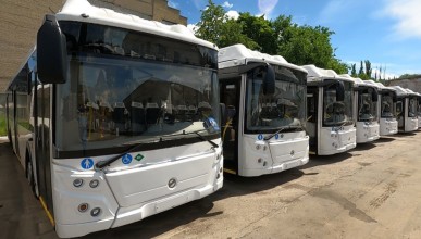 Автобусный маршрут изменят на три недели в Воронеже