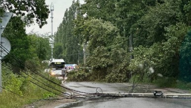 Рухнувшие столб и несколько деревьев перекрыли проезд воронежским водителям