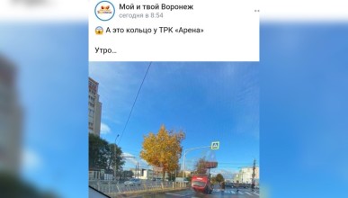 Автомобиль перевернулся у торгового центра в Воронеже