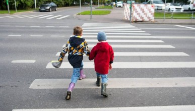 Двух детей сбили на пешеходном переходе в Воронеже