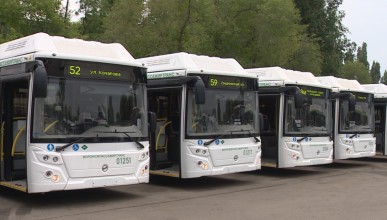 Власти и перевозчики не могут справиться с дефицитом водителей и автобусов в Воронеже