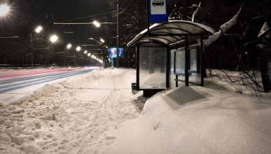 «Сколько нам мёрзнуть на остановках?» Около 10% автобусов не вышли на линию в Воронеже