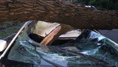 Две девушки пострадали от упавшего на крышу машины дерева в ЖК «Грин Парк»