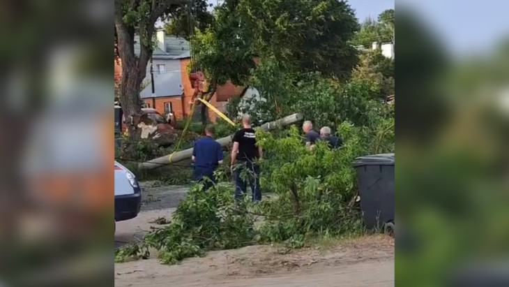 Фонарь и дерево рухнули на оживлённый участок дороги в Воронеже