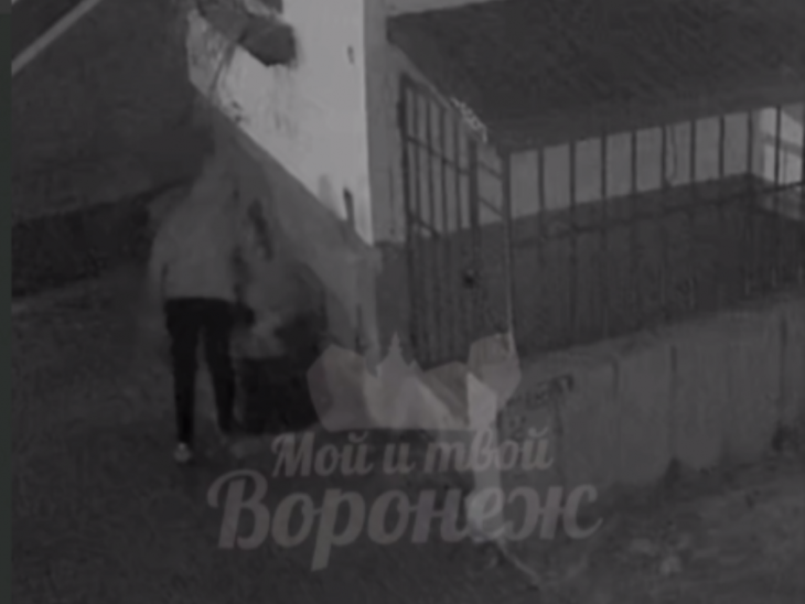 Приключения туй счастливо завершились в Воронеже 