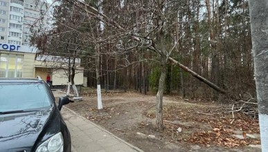 «Нависшая» опасность беспокоит жителей Воронежа