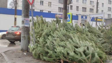 «Кто им разрешил?» - елочный базар выбесил жителей Воронежа