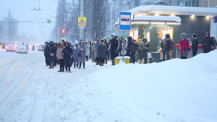 Воронежцам предложили пройти опрос о доступности общественного транспорта