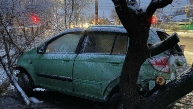 Врезался в дерево и сбежал: пьяный воронежец устроил переполох в Северном