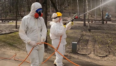 В Воронеже 35 скверов и парков обработают от клещей