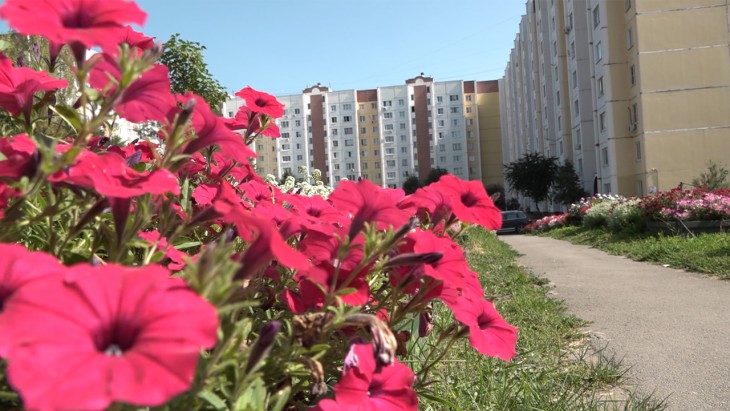 В Воронежской области выберут самые креативные и благоустроенные дворы и дома