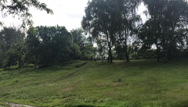Вандализм в парке в Подгорном Воронеж Северный район 