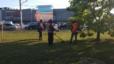 jПокос травы Воронеж Северный район 