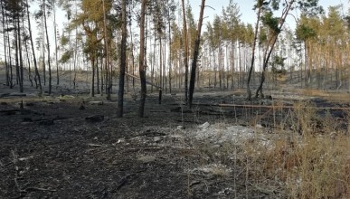 А был ли поджог в Подгорном? Воронеж Северный район 