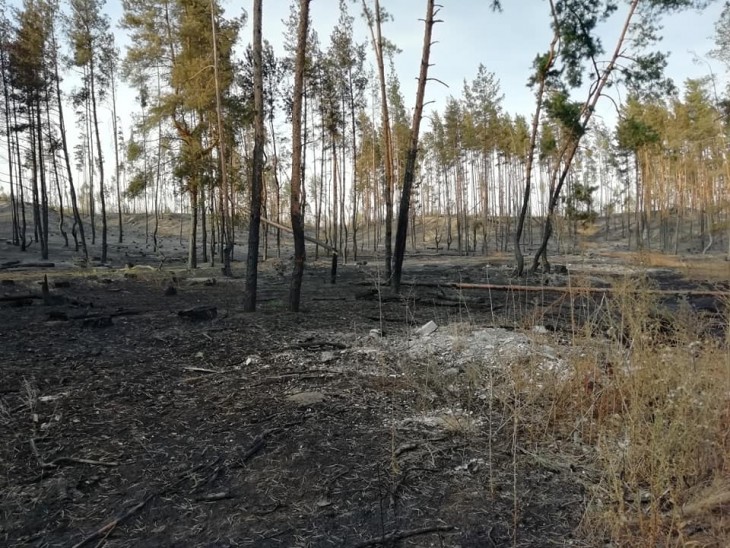 А был ли поджог в Подгорном? Воронеж Северный район 