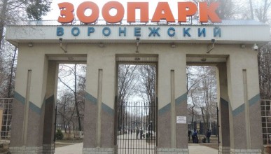 Зоопарк Воронежа стал работать по зимнему графику Воронеж Северный район 
