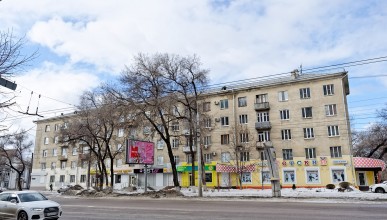 На Московском проспекте рассадник заразы и насекомых. Воронеж Северный район