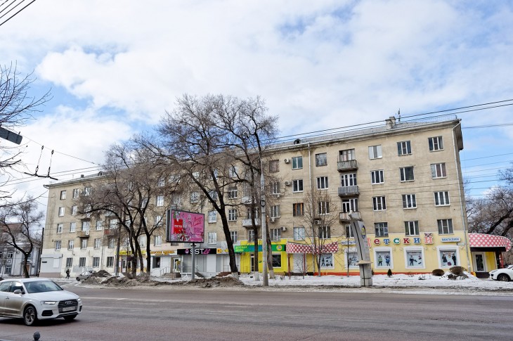 На Московском проспекте рассадник заразы и насекомых. Воронеж Северный район