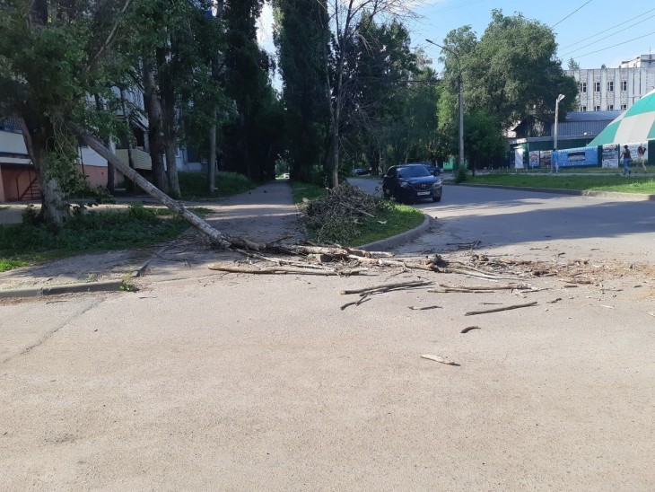 На Лизюкова на выходных упало дерево и никто его не убирает. Воронеж Северный район