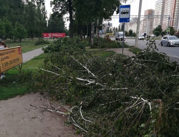 Около памятника Славы обрезают деревья. Воронеж Северный район