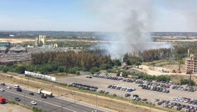 В Северном районе сгорело 2 гектара леса. Воронеж Северный район