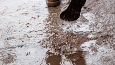 На 9 января прорвало канализацию. Воронеж Северный район