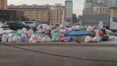 Горы мусора на улице Шишкова. Воронеж Северный район