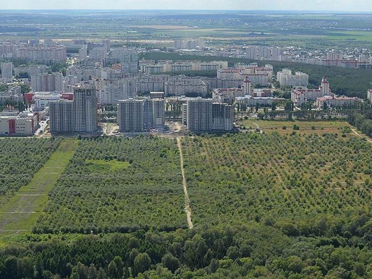 Яблоневые сады в Воронеже застроят наполовину. Воронеж Северный район