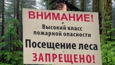 В Воронежской области до 25 октября запрещено посещать леса. Воронеж Северный район