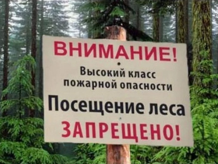 В Воронежской области до 25 октября запрещено посещать леса. Воронеж Северный район