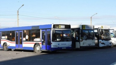 Водитель автобуса № 90 справлял нужду прямо из автобуса. Воронеж Северный район