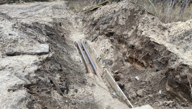  Дом для собак в траншее на Московском проспекте. Воронеж Северный район