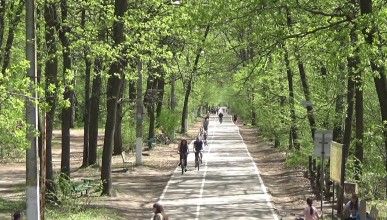 Горожане уже не могут обходиться без «Олимпика» Воронеж Северный район